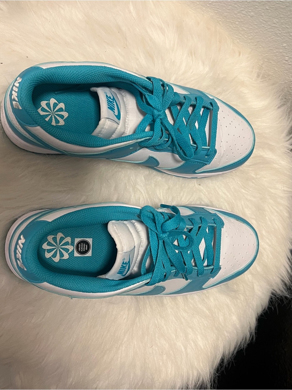 Nike women’s ' Turquoise and White Low-Top wSneakers